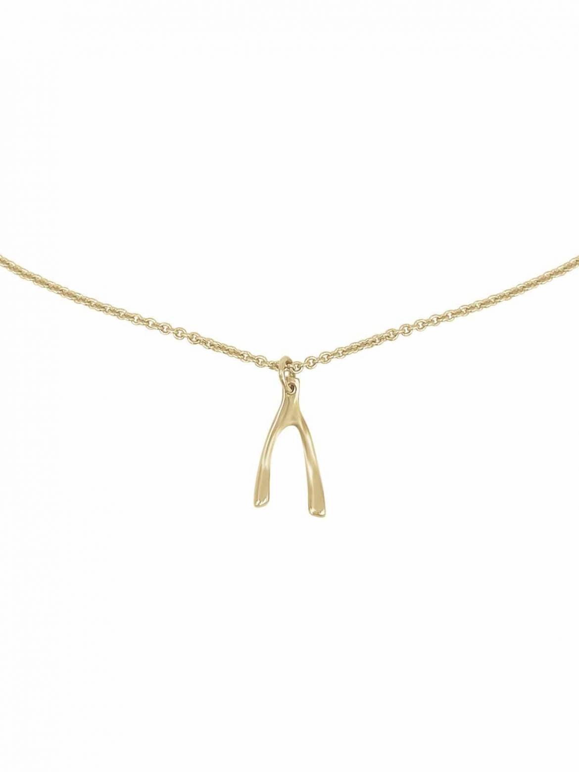 wishbone-necklace.jpg